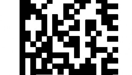 QR Codes Barcodes DMC lpn Codes